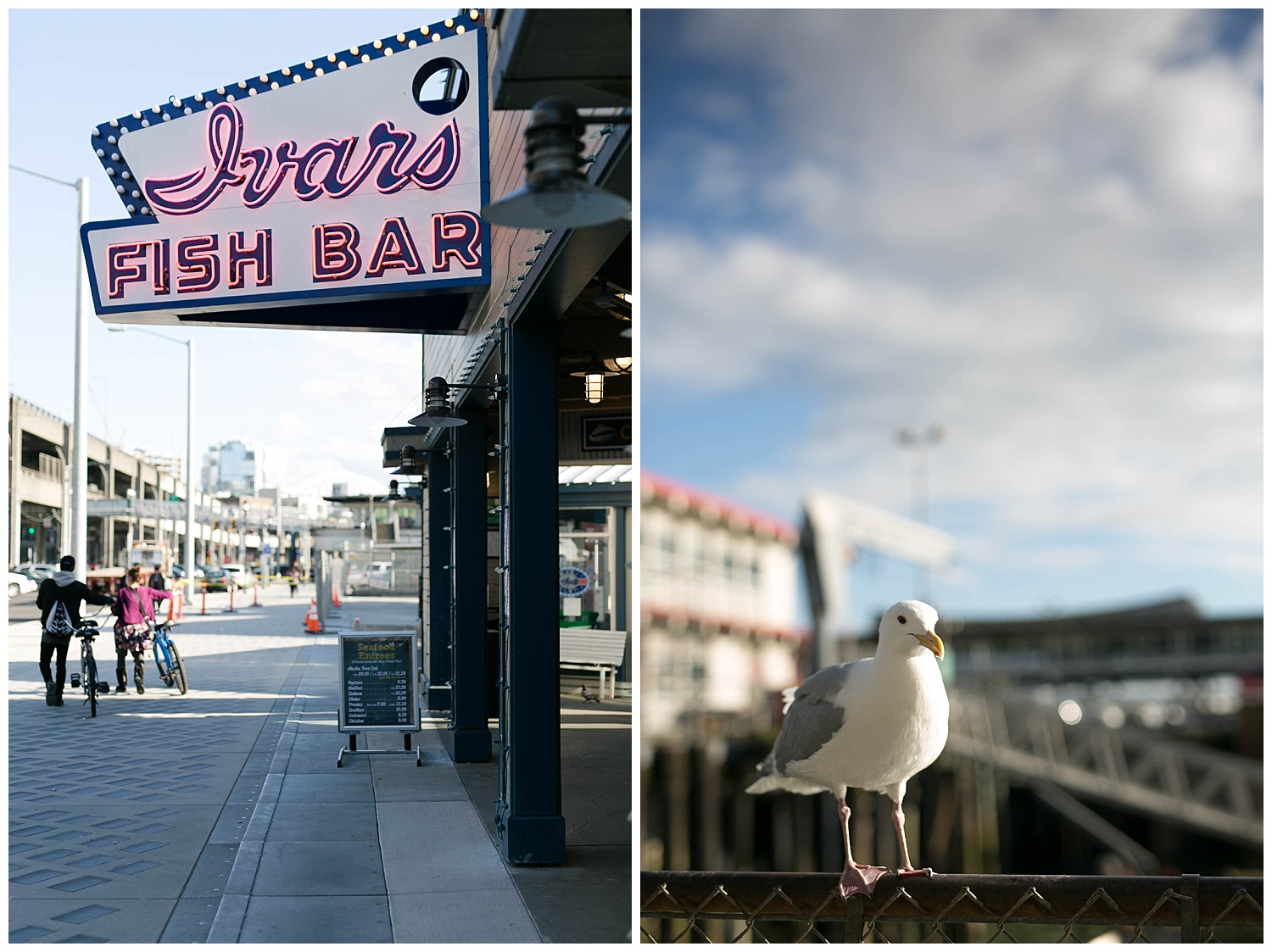  And now we move on to the most magical part of the day.  Ivars Fish Bar  has been around for almost 80 years and it is hard to tell what I loved more... the fish and chips were delicious but the SEAGULLS WERE AMAZING! They are super tame and love french fries almost as much as I do.  